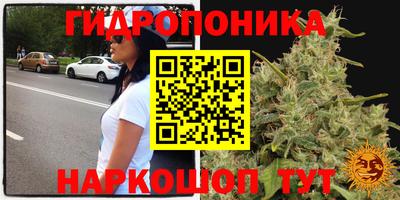 индика Апрелевка