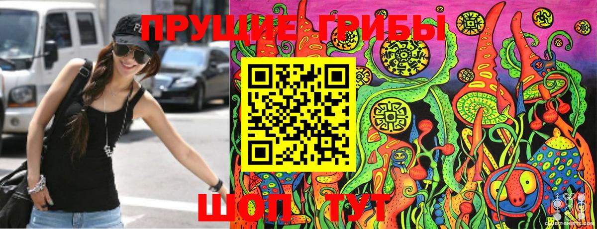 Псилоцибиновые грибы мицелий Зима