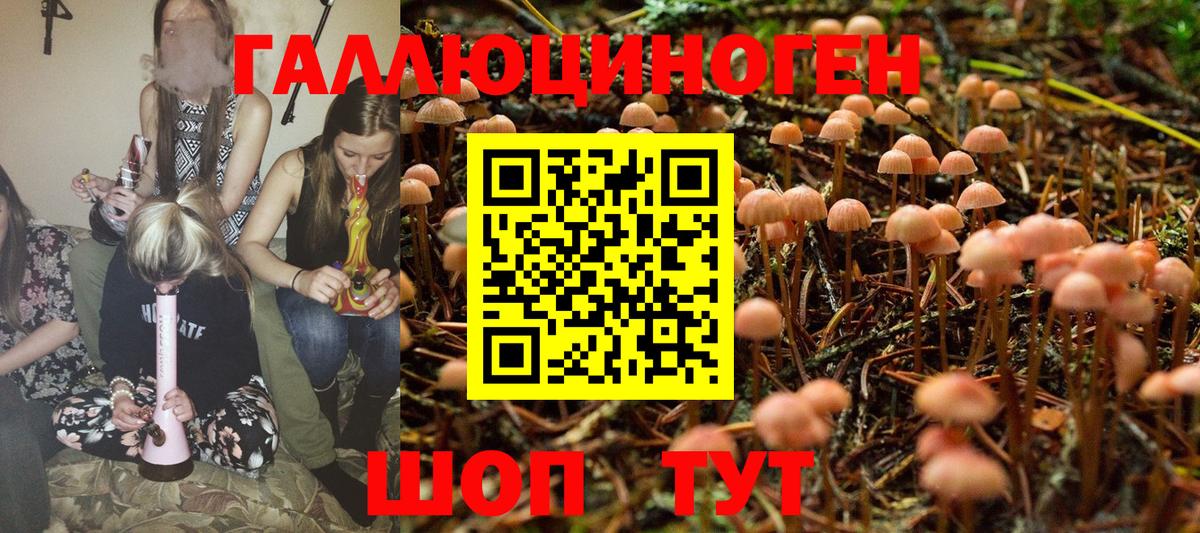 Псилоцибиновые грибы мухоморы  Галлюциногенные грибы GOLDEN TEACHER  Зима 