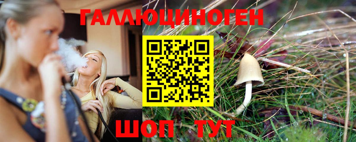 Галлюциногенные грибы Cubensis Зима