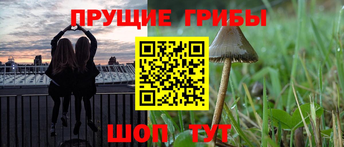 Псилоцибиновые грибы Psilocybe  Вход с VPN  Псилоцибиновые грибы GOLDEN TEACHER  Зима 