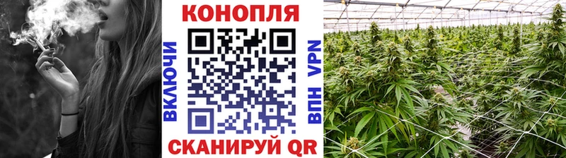Каннабис SATIVA & INDICA  Зима 