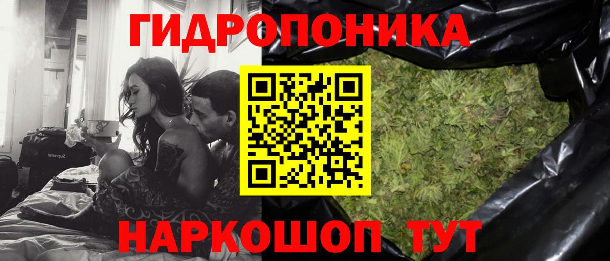 Зима  Канабис MAZAR  Бошки марихуана AK-47  Вход с VPN  Конопля сатива 